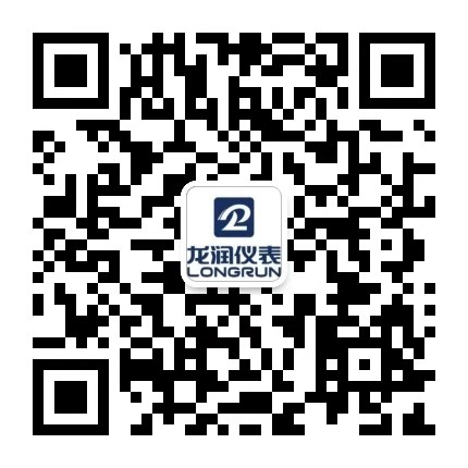 龍潤(rùn)儀表